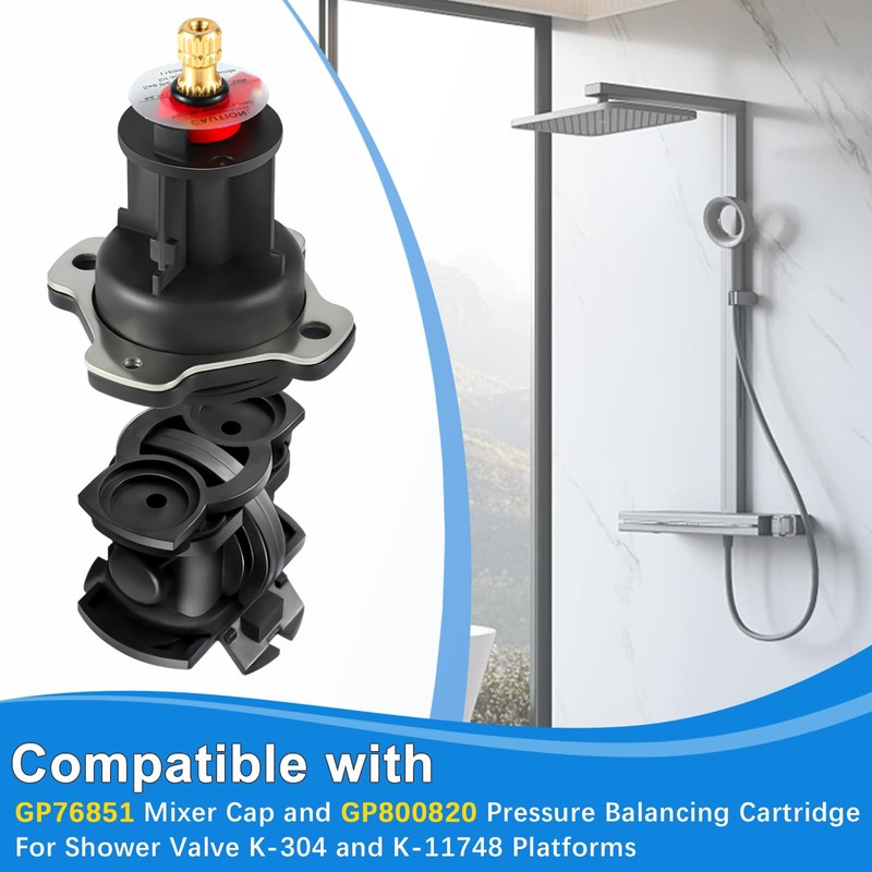 2 Pack GP876851 Mixer Cap and GP800820 Pressure Balancing Unit,