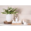 Räder Egg Vials Set of 2