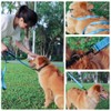 MOE Dog Leash Large Dog Medium Dog Leash with 2