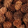 com-four® 200 x Decorative Cones Larch - Cones Decoration for