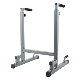 BalanceFrom Multi-Function Home Gym Exercise Dip Stand, 500lb Capacity, Red - Color: Gray