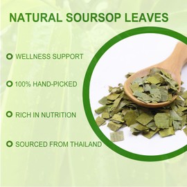 Jarteela - Soursop Tea Bag, 1.5g x 60 Count - Pure Graviola Tea - Natural Soursop Leaves Herbal Tea Bags - Non-GMO - Caffeine-free Tea - Support Digestive & Healthy Skin