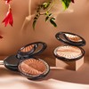 Chantecaille [Department Store] [Chantecaille] Perfect Blur Finishing Powder - [00001]Light/Medium