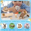 Youyole 13 Pcs Guinea Pig Starter Kit Hamster Hideout Bed