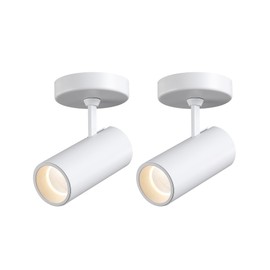 Opulux 12W LED Dimmable Ceiling Spotlight Indoor - Adjustable Surface Accent Lamp for Corridor, Living Room, Warm White 3000K, CRI 97 Anti-Glare Picture Artwork Spot Light, White Finish, 2 Packs