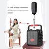 Wireless Instrument Microphone, 2.4G Wireless Erhu Microphone Pickup, Noise Reduction,