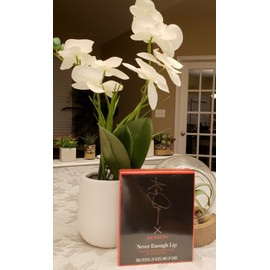 Revlon Never Enough Lip, Worship Limited Edition Lip Kit by Ashley Graham, 3 PC