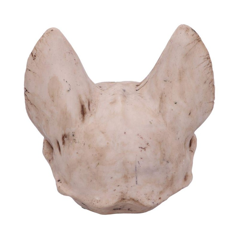 Nemesis Now Bastet's Secret Cat Skull Figurine Ornament, Natural Bone