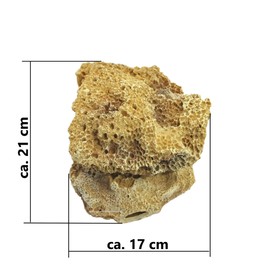 Reef Rock, 21 x 17 x 13 cm, Rock Stone Replica, Sea Water Aquarium Decoration