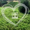 BIOselect Rosemary Natural Essential Oil (5 ml) PN: 520030643414