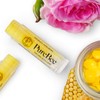 Lip Balm with Beeswax & Propolis Without Aroma | Natural