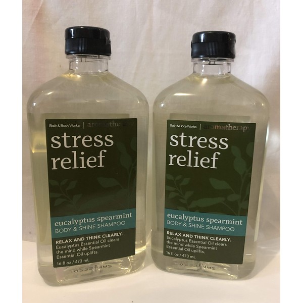 2 Pack Bath and Body Works Aromatherapy Eucalyptus Spearmint Stress Relief Body & Shampoo 16 FL OZ each