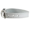 Genuine Leather Dog Collar for Smalles dogs and puppies 3