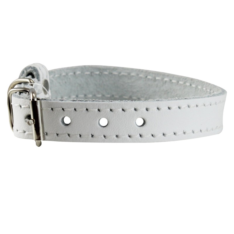 Genuine Leather Dog Collar for Smalles dogs and puppies 3