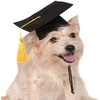 Rubies Costume Co Black Graduation Hat Pet Accessory, Small/Medium
