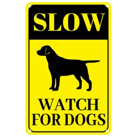 Slow Watch For Dogs Sign 8 x 12 Inches Slow Down Dogs at Play Signs Metal Reflective Rust Weatherproof Fade Resistant UV Protected Durable Ink Easy Mounting Indoor Outdoor Use