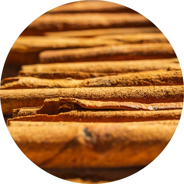 Living Libations Cinnamon Bark Essential Oil, 5ml