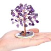 GEFIRE Tree of Life Crystal, 9-10 cm Amethyst Stone Money
