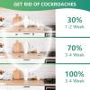 h.n Roach Killer Cockroach Traps for Indoor & Outdoor Infestation
