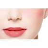 Dodo Glossy Lip GL30 1.8 oz (50 g)