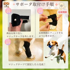 Pet Supporter, Elastic Velcro (Spring Included) Dogs, Rear Legs Dislocation, Fracture Treatment, Joint Protector, Dog Foot Protector, For Elderly Dogs, Nursing, Dogs, Cats, Dogs, Pets, Support Spring