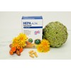 Hepa ALTAI DTX Balance - Liver Protection, Visceral Belly Fat,