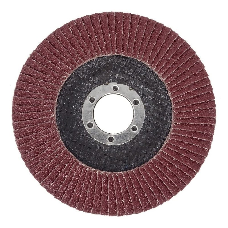 Pack of 10 flap washers, diameter 125 mm x 22.23