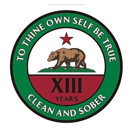 13 Year AA, Alcoholics Anonymous California Bear Clean and Sober Chip, Medallion, Token, Coin