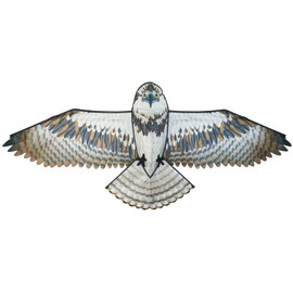 In the Breeze 3397 — 70-inch Osprey Kite — Realistic Printed Bird of Prey Kite; Single-Line Easy-Flying; Kite Line Included