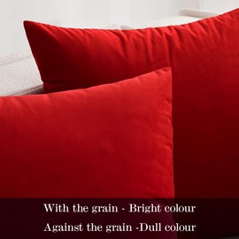 MIULEE Velvet Soft Soild Microfiber Decorative Square Pillow Case Throw Cushion Cover for Sofa Bedroom with Invisible Zipper 20x20 Inch 50x50cm Bright Red Set of 2 Lined