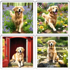 Golden Retriever Dog Coaster Set. 4 different Golden Retriever Dog Pictures on 10cm x 10cm Acrylic Coasters. Boxed Coaster Drip Mat Set.