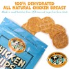 Pack Approved Chicken Chips - Crunchy, Single Ingredient Dog Treat