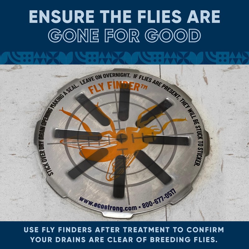 Fruit Fly Drain Treatment | Drain Fly Eliminator | Eliminates