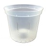 6" Slotted Clear Orchid Pots by rePotme - 6 Pack