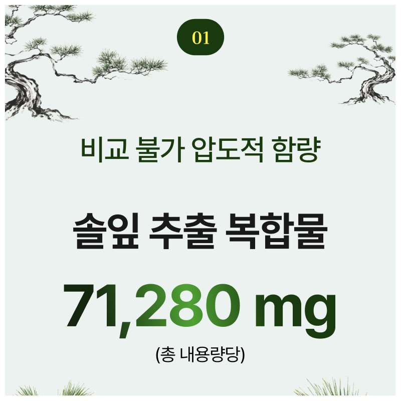 Dr. NUGA 국산 솔잎 추출물 솔로몬 정, 120회분, 2세트 Dr.