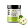 TERRA ORIGIN- Healthy Gut Green Apple 30 porciones con LGlutamina,