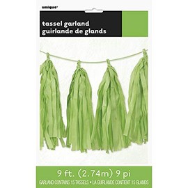 Unique Party 62957 - 9ft Tissue Paper Lime Green Tassel Garland