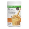 Formula 1 Nutritional Shake Mix (Mint Chocolate)