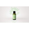 ACEITE ESENCIAL DE HINOJO 30ML.