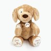 GUND 4059066 "Spunky Dog Tan ABC/123 Soft Toy