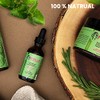 Mielle Organics Sunnydaze Decor MIELLE Colección Romero Mint (aceite, 2