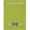 Escali 157SCG Arti Glass Digital Scale, 1 Count, Succulent Green