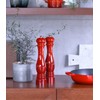 Le Creuset Classic 96002800060000 Large Salt Mill - Heavy Duty