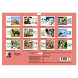 Tierisch Denglisch (Wandkalender 2026 DIN A4 quer), CALVENDO Monatskalender