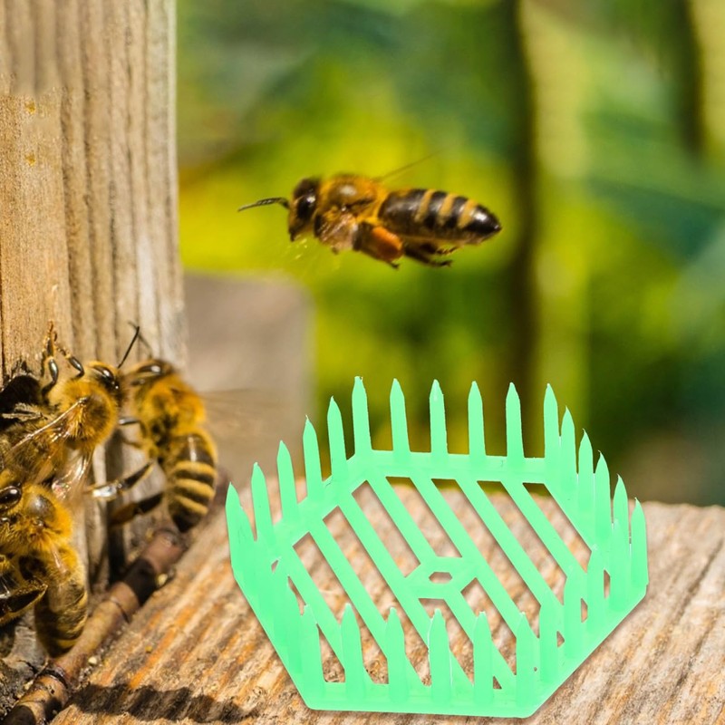 BESPORTBLE 6pcs Garden Bee Cage Spawning Tool Queen Rearing System