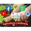 agrylap 3 Kg Acido Bórico Polvo Varios Usos Grado Técnico