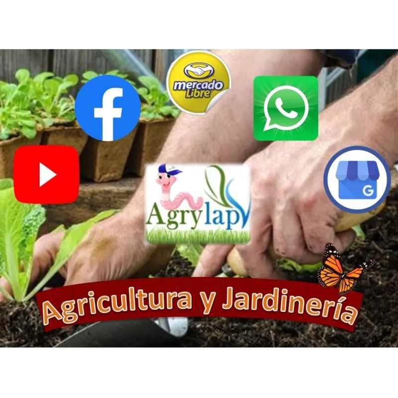 agrylap 3 Kg Acido Bórico Polvo Varios Usos Grado Técnico