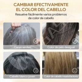 Kaisasa Shampoo Con Tinte Cubre Canas Natural Jengibre 500ml-Negro                                                                                    