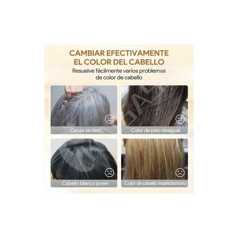 Kaisasa Shampoo Con Tinte Cubre Canas Natural Jengibre 500ml-Negro