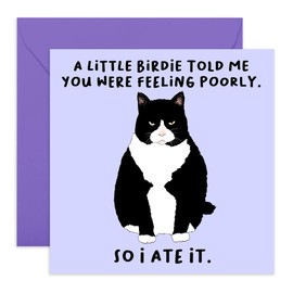 Central 23 - Funny Get Well Soon Card For Her Him - 'A Little Birdie Feeling Poorly' - Cheer Up Gifts For Women Men - Cat Greeting Cards Sympathy Memorial Thinking Of You - Comes With Fun Stickers